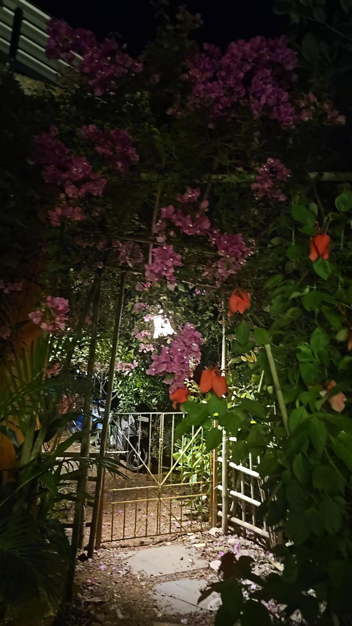 Laxmi Happy Home In Querim Goa 외부 사진